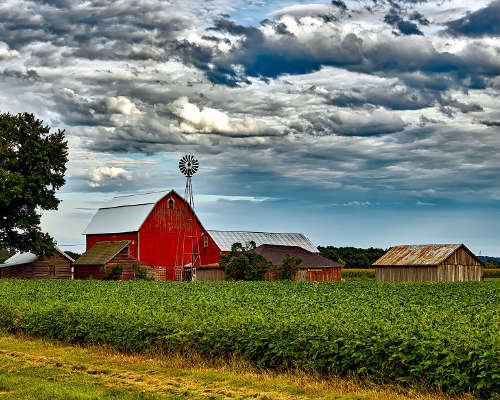 Organic Farming